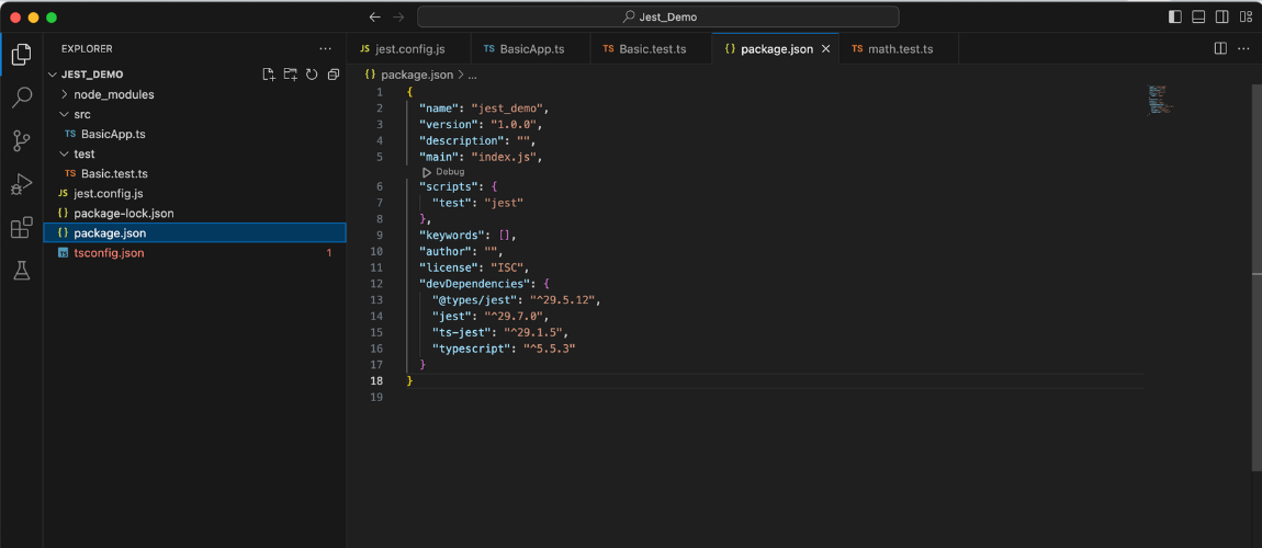 Jest package.json file