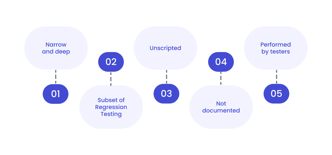 Diagram highlighting the key characteristics of the sanity testing process