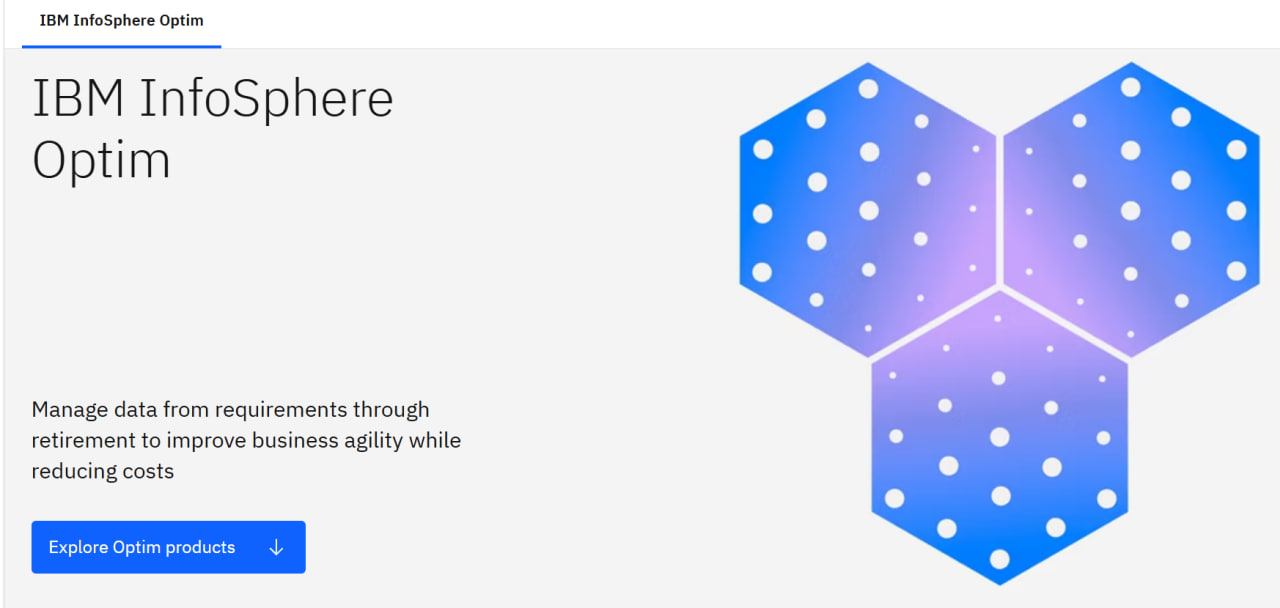 IBM InfoSphere Optim