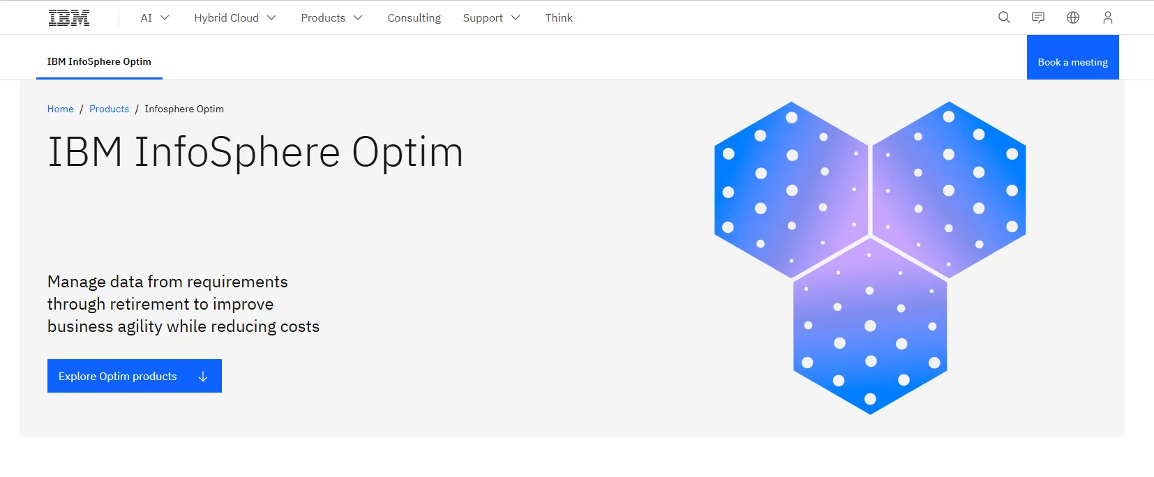 IBM InfoSphere Optim