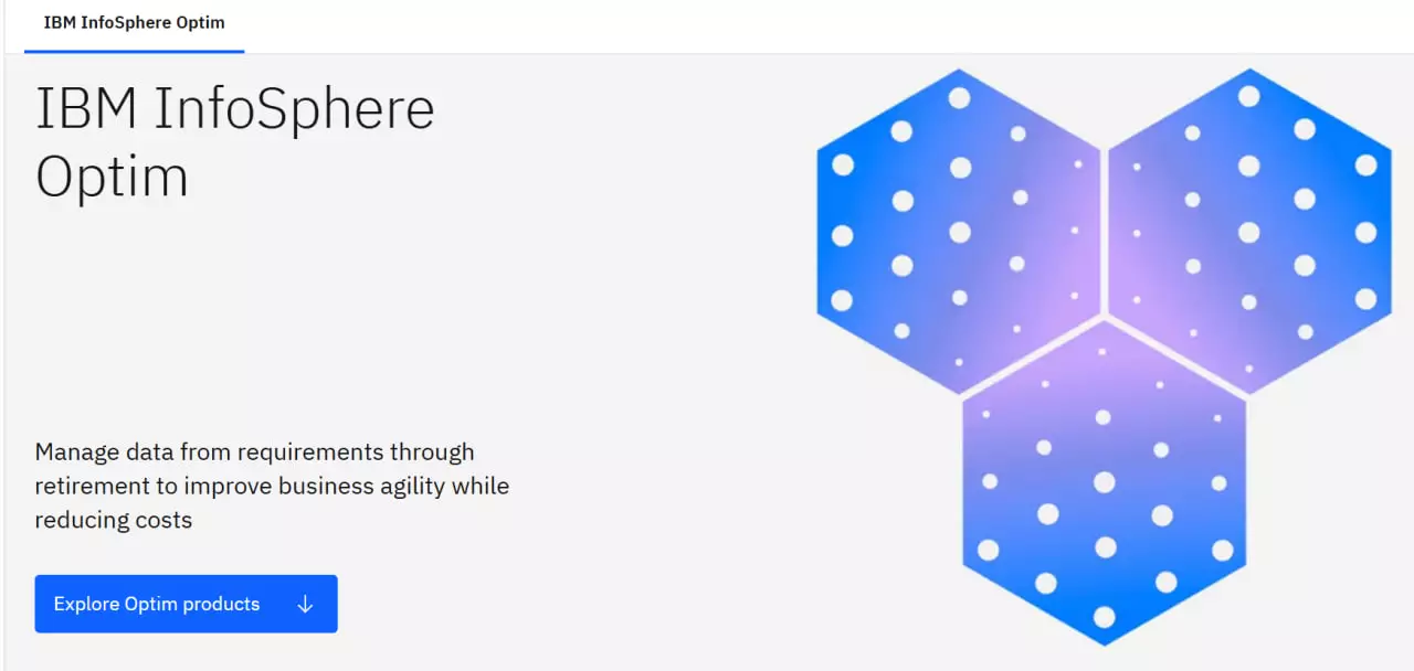IBM InfoSphere Optim