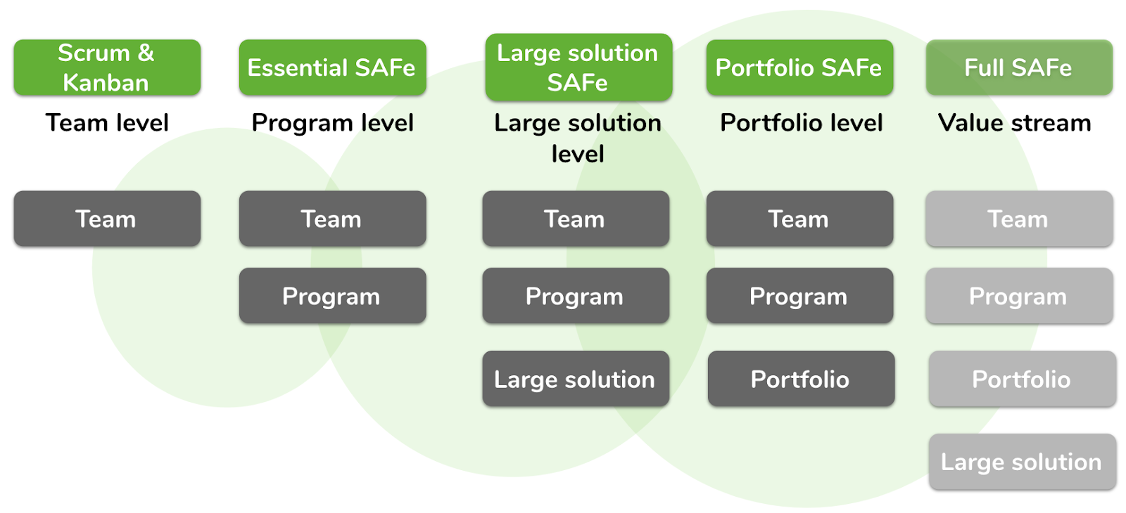 What are the four levels of the SAFe