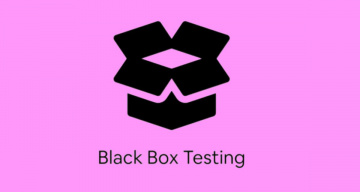 Black box testing