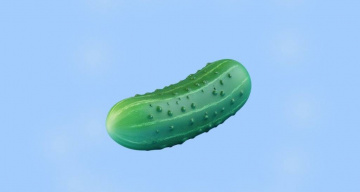 What Is Gherkin Your Comprehensive Guide