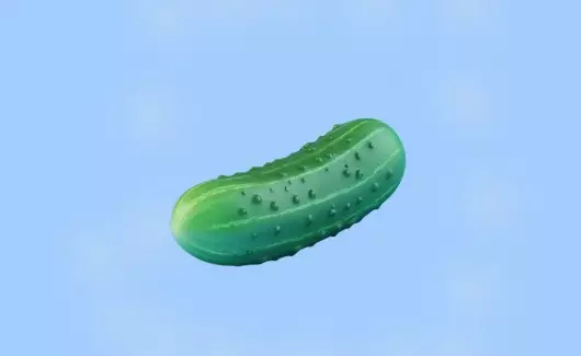 What Is Gherkin Your Comprehensive Guide